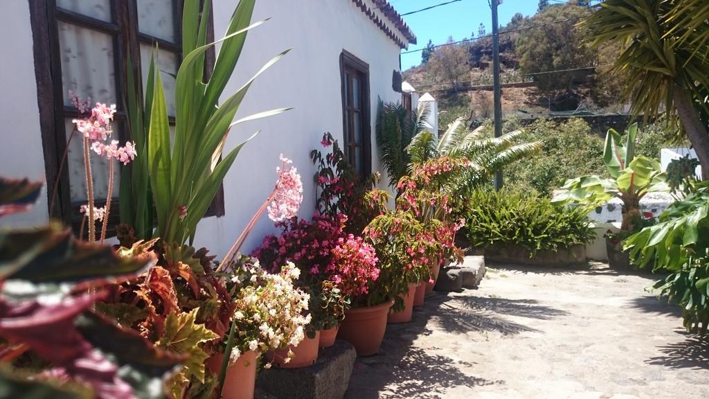 Casitas La Montanita Guest House El Paso Exterior photo